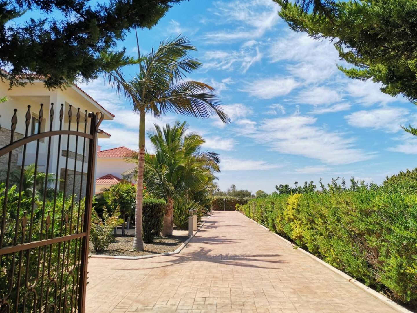 Orchard Blossom Private Villa With Pool Phrenaros Bagian luar foto