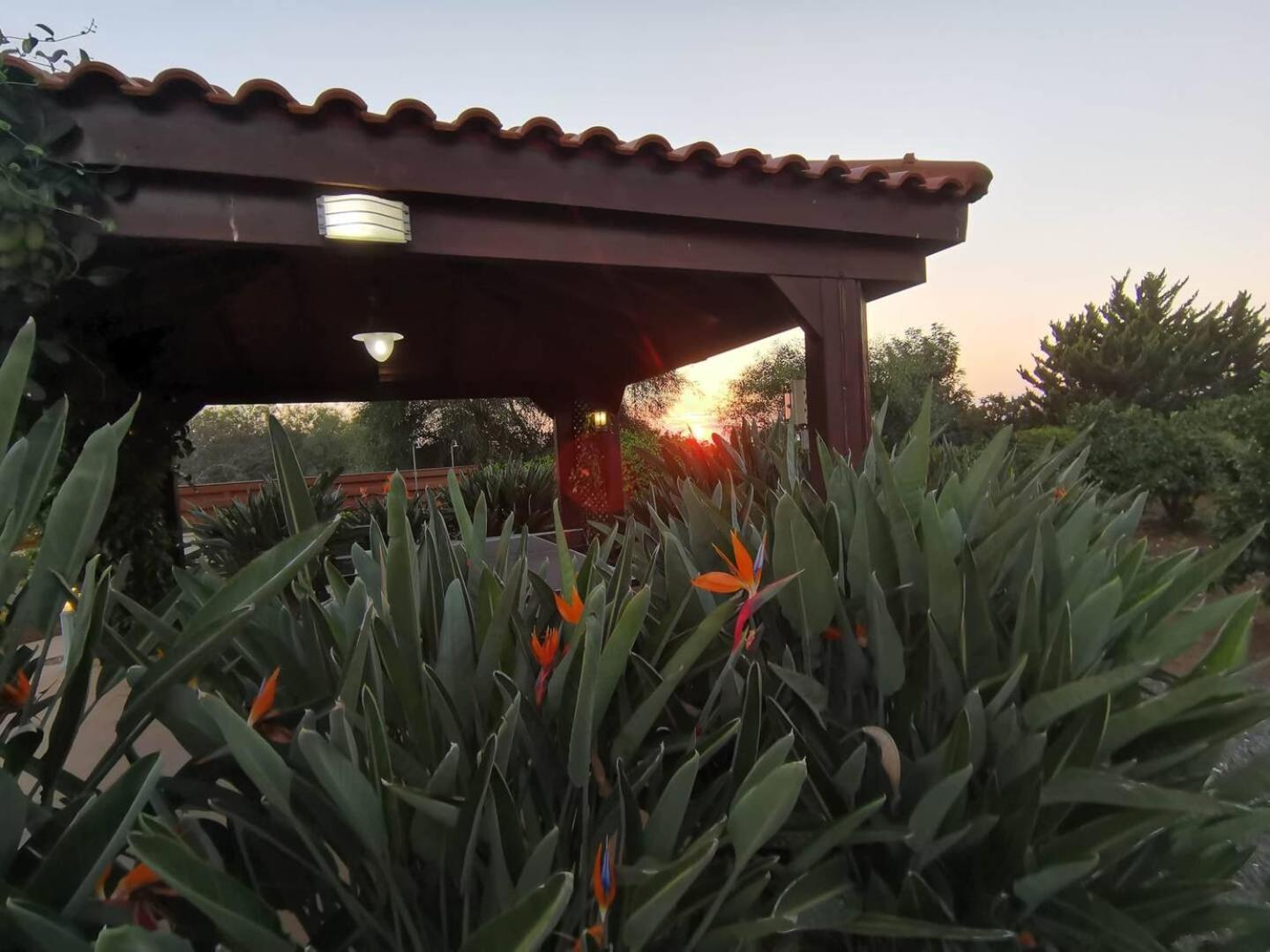 Orchard Blossom Private Villa With Pool Phrenaros Bagian luar foto